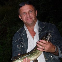 ������, �����������, 60 ���