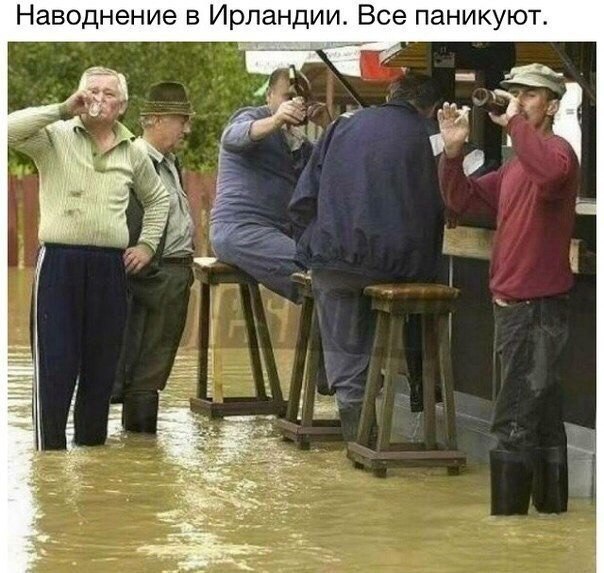  - 12  2014  18:06