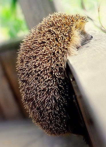   - 16  2014  14:47 - 3