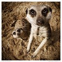  ,  -  2  2014      fotiko.ru