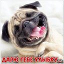 ���� Beasty, ������������ - ��������� 5 ������� 2014 � ������ ������ ��������