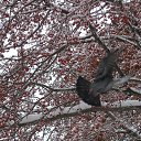 ���� ����, ���������, 63 ���� - ��������� 6 ������ 2014 � ������ ���� ����������