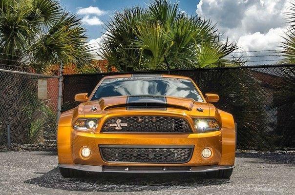 Shelby GT500 Super Snake  Ultimate Auto