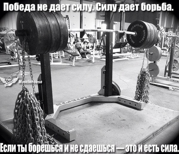SportFeed - 5  2014  12:49