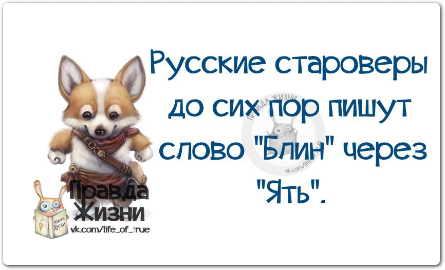 Правда жизни картинки с надписями прикольные новые