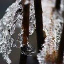 ���� �����, �����-��������� - ��������� 30 ������ 2014 � ������ ����� � �������.�