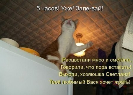 ☆ ☆ - 10  2014  06:06