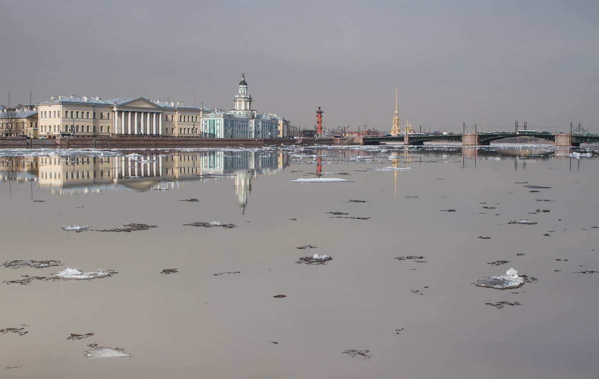 Питер фото на неве с зайцами Лед на Неве