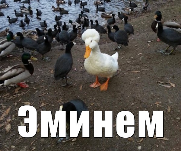    :-) - 18  2014  11:20