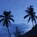  Fausto Migliorati, , 61  -  6  2014    