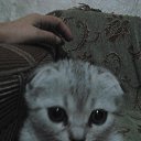 ���������-���� �� ������� �������
