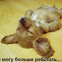 ���� ����, ��������, 51 ��� - ��������� 9 ������� 2014 � ������ ������ ��������