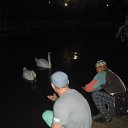 ���� �������, ����� - ��������� 22 ������� 2014 � ������ �������� 2014 ��������-�����