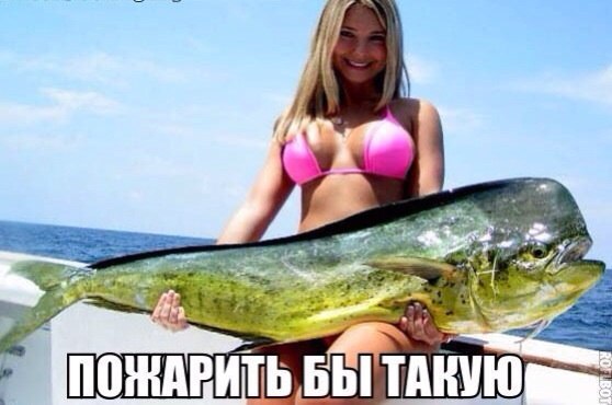 ����� ������� - 26 ������ 2014 � 23:47
