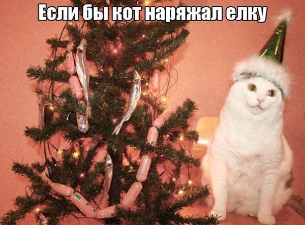  -  - 29  2014  13:56