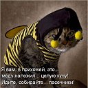 ���� ����, ������ �������� - ��������� 4 �������� 2014 � ������ ������ ��������
