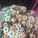 ���� ����, ���������, 33 ���� - ��������� 27 ������� 2014 � ������ ������ ��������