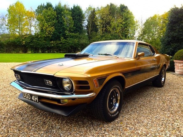 1970 Ford Mustang Mach 1