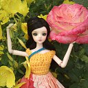 ���� �������, ������ - ��������� 15 �������� 2014 � ������ ���� ����������