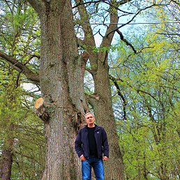 ���� ����, ������, 70 ��� - ��������� 18 ������� 2014