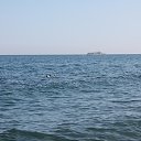 ���� Aleksiya, ���� - ��������� 1 �������� 2014 � ������ ������ ��������