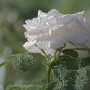 ���� &hearts; ������� &hearts;, ������ - ��������� 29 ������� 2014 � ������ ������ ��������