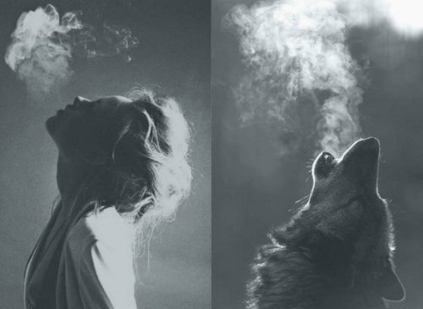 E s t h e t i q u e - 26  2014  14:22