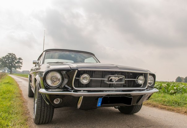 Ford Mustang GT Convertible, 1967. - 2