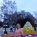 ���� �����, ����������� - ��������� 5 ������ 2014