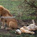 ���� ������, ������, 53 ���� - ��������� 28 �������� 2014 � ������ ������ ��������