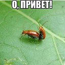 ���� ������, ���������, 57 ��� - ��������� 27 ������ 2014 � ������ ���� ����������