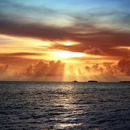 �������, ���������, 51 ���