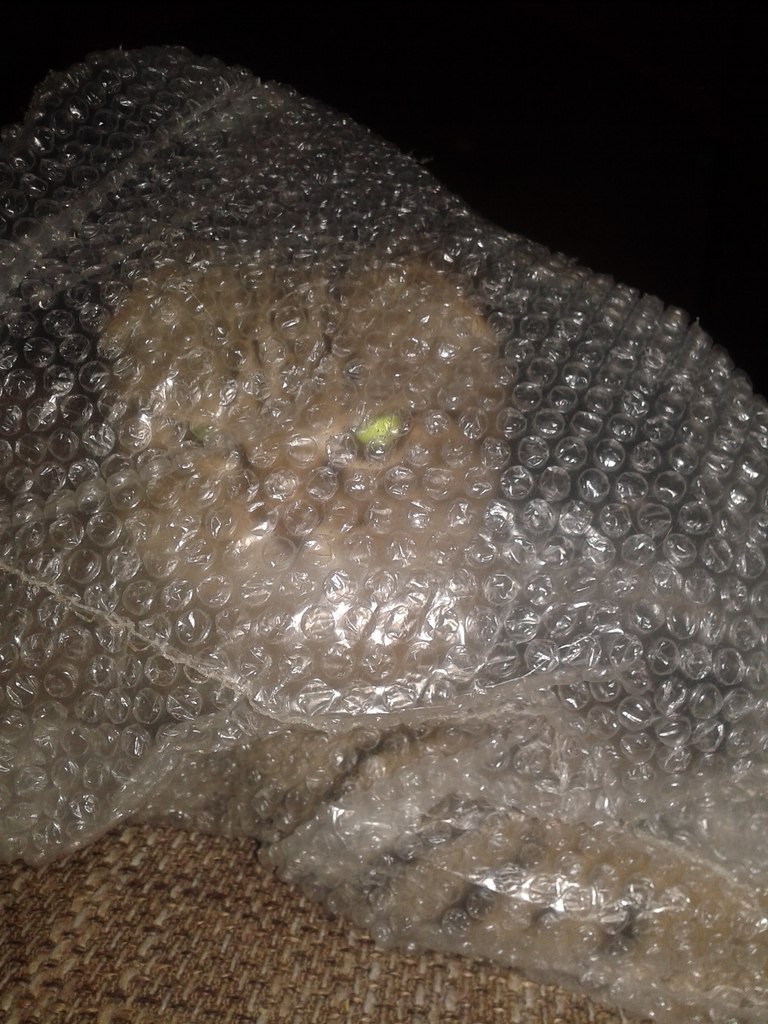 -!!!)))