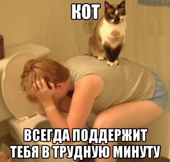 ������� - 24 �������� 2014 � 15:00