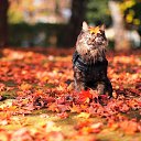 ���� �����, ����� - ��������� 16 ������� 2014 � ������ ������