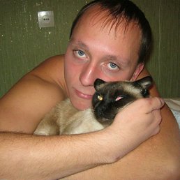 ������, �������, 38 ���