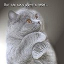 ���� �������, ������, 76 ��� - ��������� 3 ������ 2014 � ������ ���� ����������