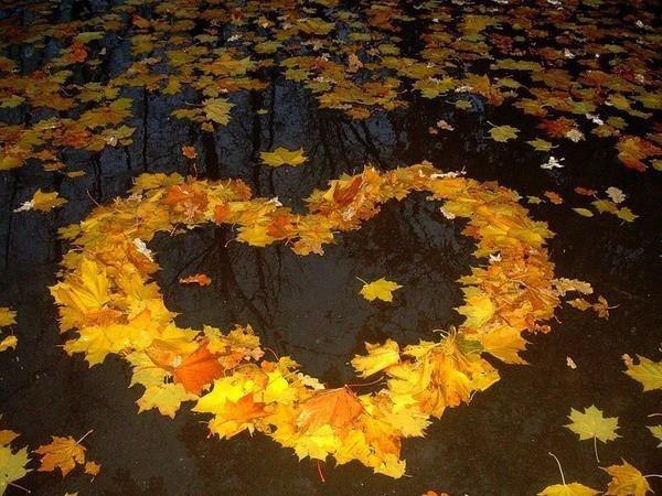 ,    .     https://fotostrana.ru/away?to=/sl/zc3 ...
