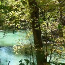  Lapotchka73, , 48  -  14  2014    