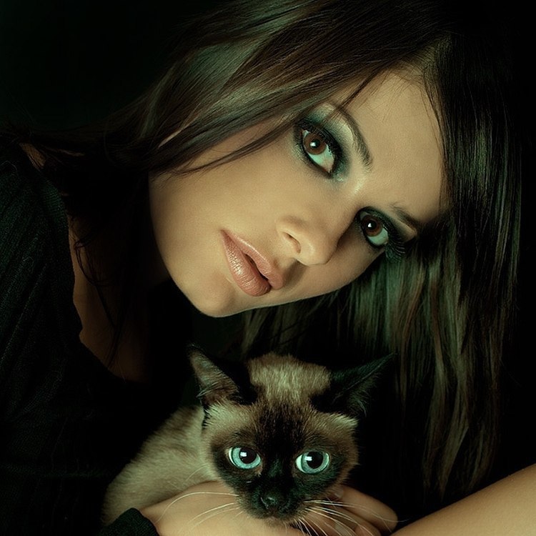 Взгляд как у кошки песня. Девушка кошка. Женщина с кошачьими глазами.
