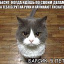 ���� ������, �����-���������, 50 ��� - ��������� 18 ������ 2014 � ������ ������ ��������