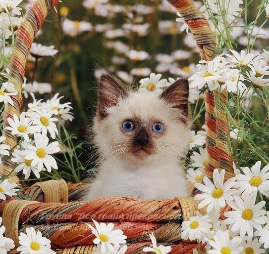       - 17  2014  05:01 - 6