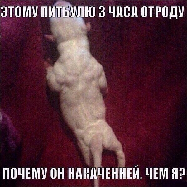   (