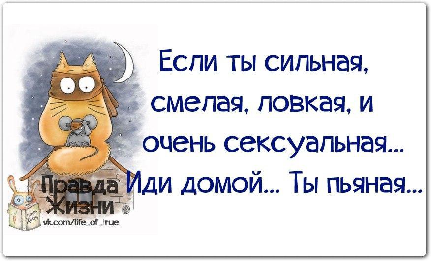 Ну а правда. Смешные цитаты со смыслом. Прикольные афоризмы в картинках. Веселые цитаты в картинках. Картинки с прикольными фразами.