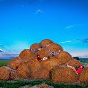 ���� Zoro, ��������, 53 ���� - ��������� 6 ������� 2014 � ������ �������