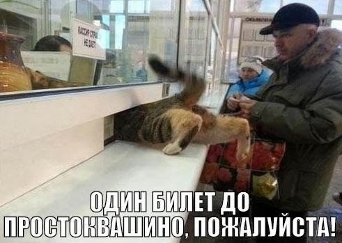   ,  : <a href=