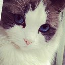 ���� ����, ���� - ��������� 25 ������� 2014 � ������ ������ ��������