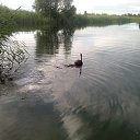 ���� ������, ����, 55 ��� - ��������� 14 �������� 2014 � ������ ���� ����������