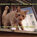 ���� ������, ����������, 47 ��� - ��������� 1 ������� 2014 � ������ ������ ��������