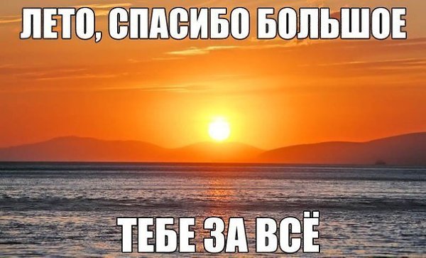   - 3  2014  11:31